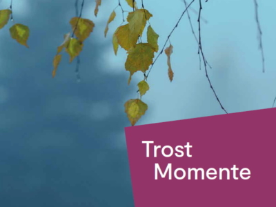 Stadtpfarrblatt PDF herunterladen