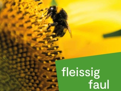 Stadtpfarrblatt PDF herunterladen