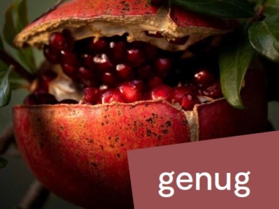 Stadtpfarrblatt PDF herunterladen