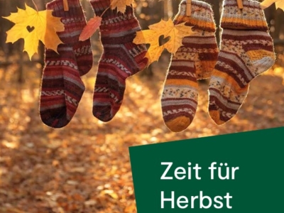 Stadtpfarrblatt PDF herunterladen