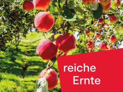Stadtpfarrblatt PDF herunterladen