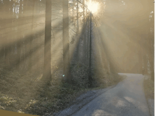 Lichtblicke auf Trauerwegen