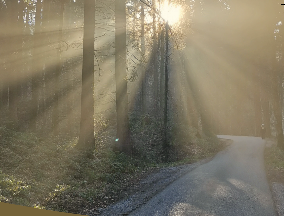 Lichtblicke auf Trauerwegen