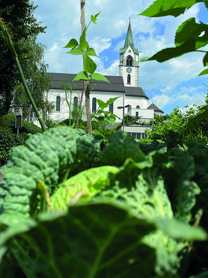 Sommer-Gartenfest