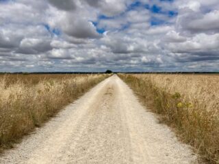 «Auf dem Jakobsweg bis ans Ende der Welt»