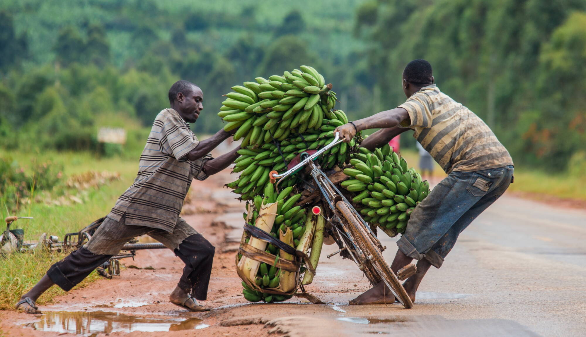 Meine Reise nach Uganda