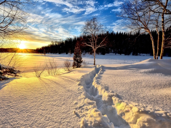 the_sub_field('slidertext')